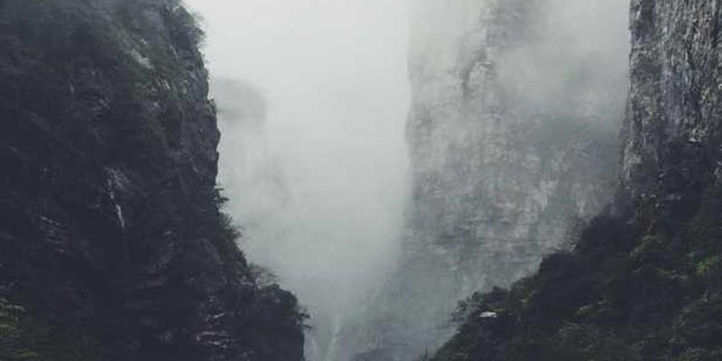 一张手触摸石头的照片