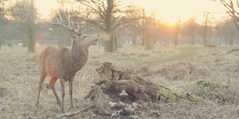 自由职业三年，我后悔了吗？坦诚分享收入、焦虑与自由