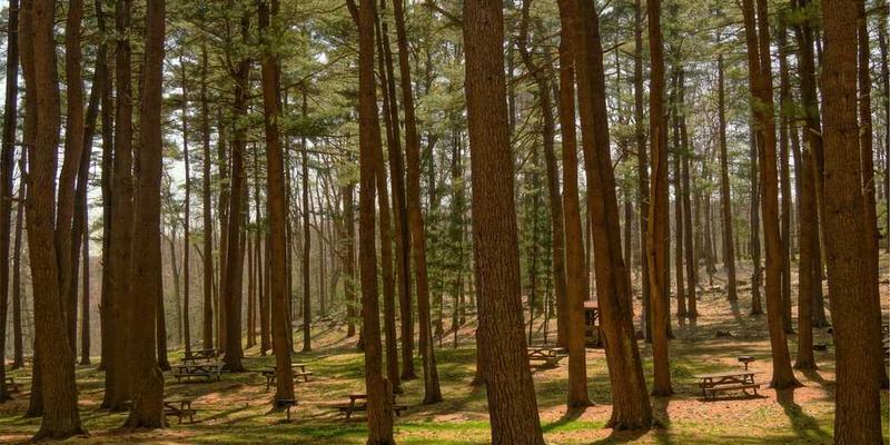 一位家庭主妇在超市购物，手中拿着账单，表情严肃，旁边是一份工作证书