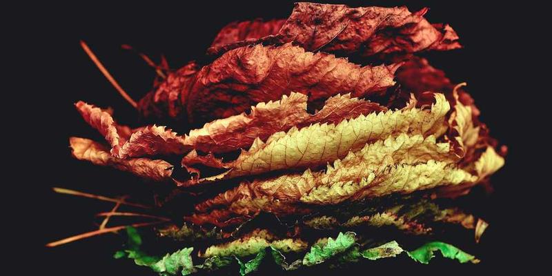 一张街头摄影，一位身穿与明星同款衣服的路人在镜头下显得不太协调，配文：“时尚模仿，有时候也是一种幽默。"