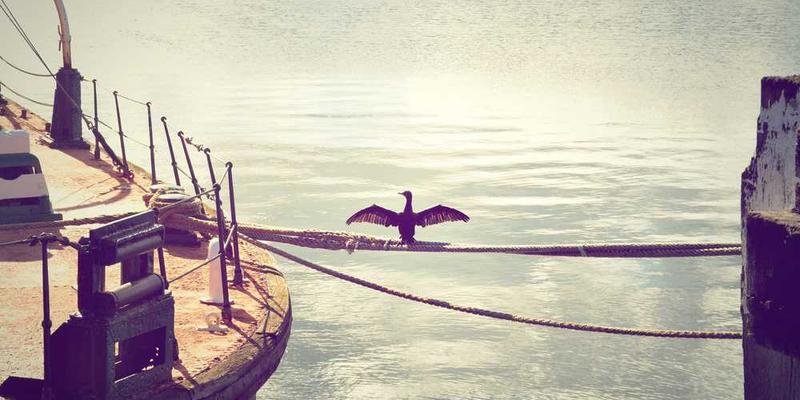 从爆款网文到经典文学：我们究竟需要什么样的故事？