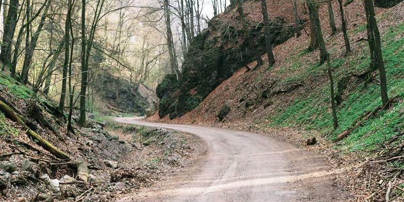 生命的奇迹海报，生命的多样性