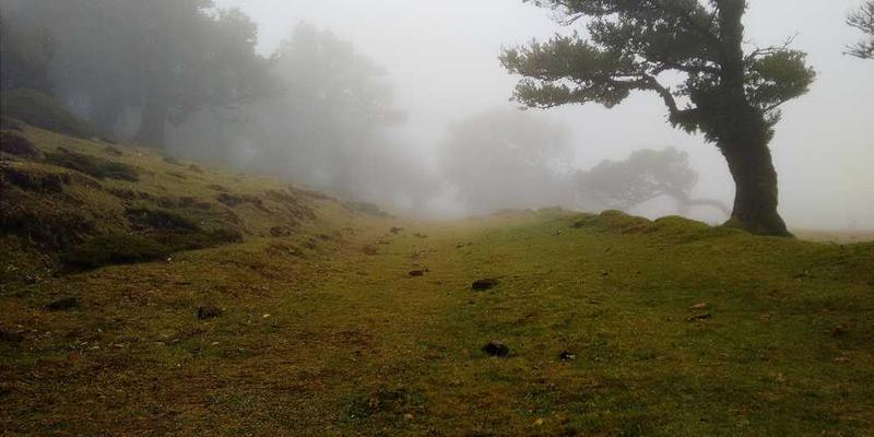 制作咖啡时，将牛奶倒入浓缩咖啡的特定高度与流速，以形成完美分层。