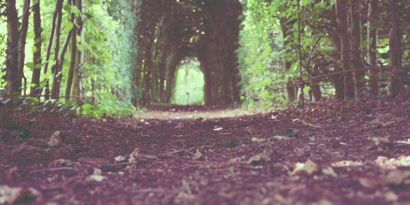 玉米须方便面包装和内容展示