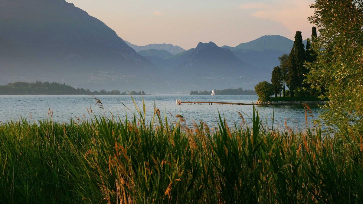 虚拟体育(如电子竞技、VR体育)是否会取代部分传统体育,引发关于身体在场意义的哲学讨论。 虚拟体育(如电子竞技、VR体育)是否会取代部分传统体育,引发关于身体在场意义的哲学讨论。