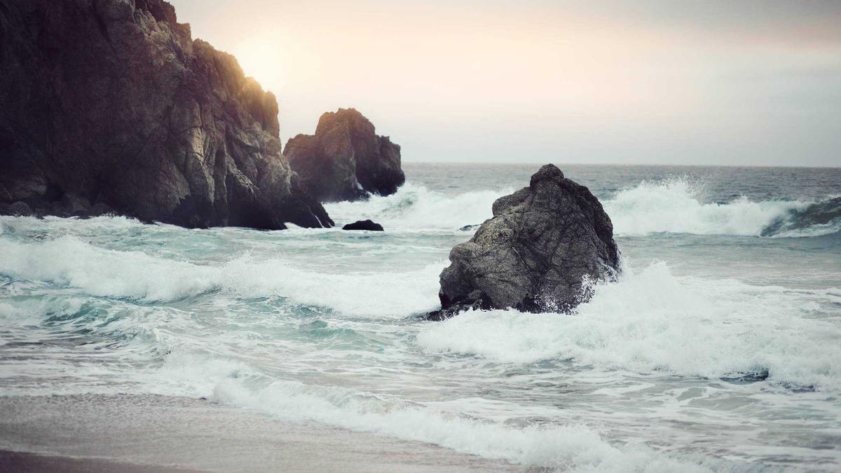 一位球迷在观看体育赛事直播，并用手机拍摄背景的比赛画面，画面中显示有版权方标志的提示信息