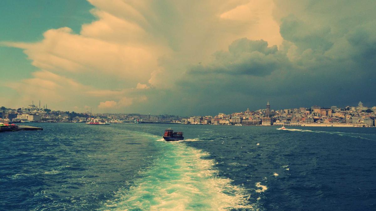 退役后进入体育管理机构的前运动员，迅速被官僚体系同化，成为打压现役运动员的“新势力”。