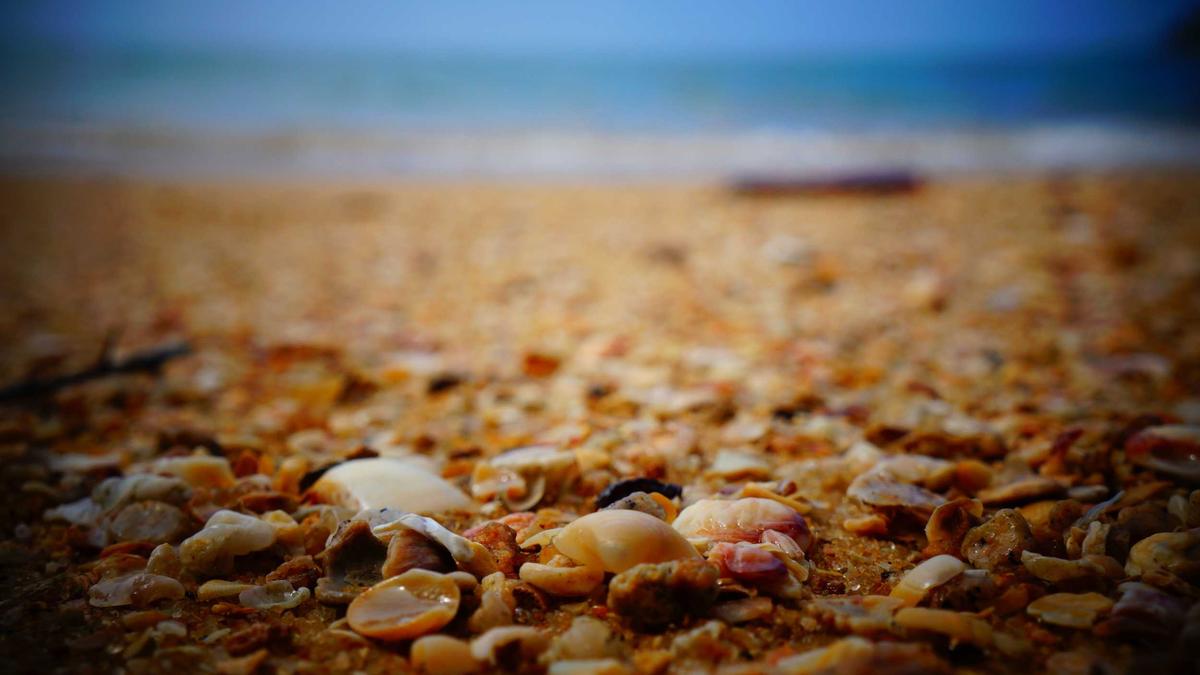 一张虚拟演播室的场景，背景中有真实场景和虚拟合成元素，如插入的广告牌，以此展现虚拟演播室技术的应用及滥用情况